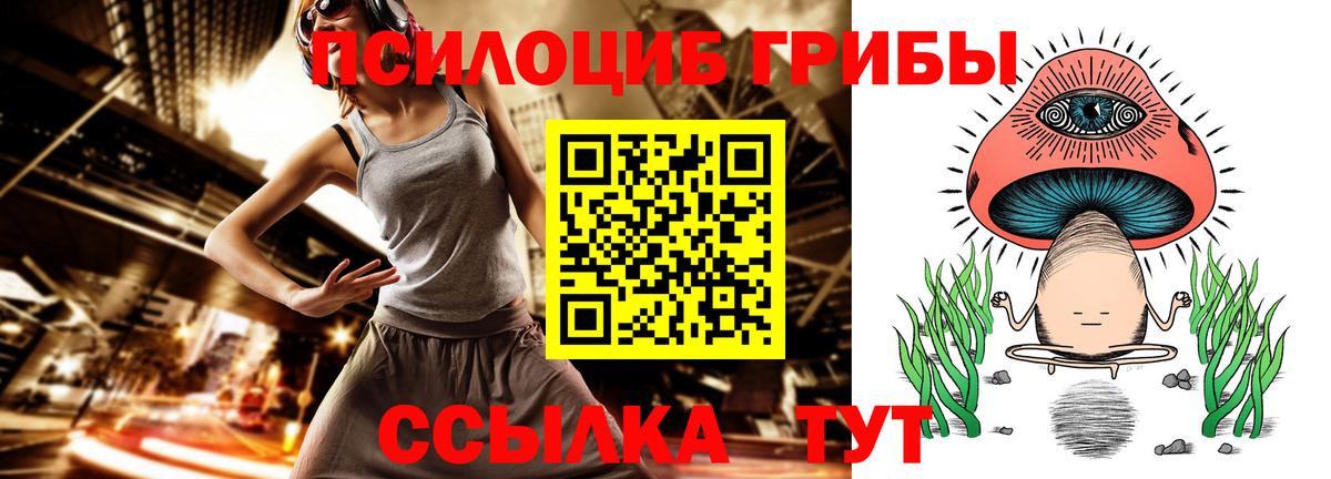 Строитель  Псилоцибиновые грибы Magic Shrooms  что такое   Вход с VPN 