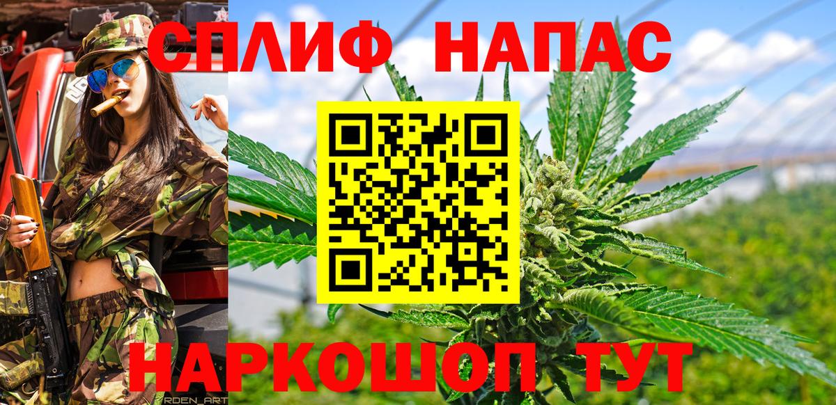 МАРИХУАНА конопля  Канабис сатива  Вход с VPN  Строитель 